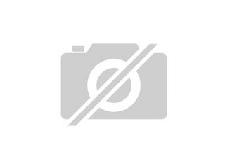 Caterpillar Motor Kühler Module DIN EN ISO 9001 fuer Bahnen Lokomotiven B